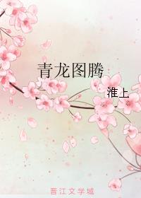 青龍圖騰小说封面